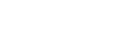 logo websis